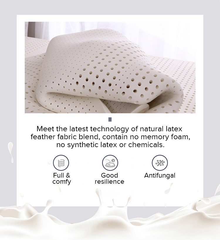 Ergonomic Latex Pillow NO